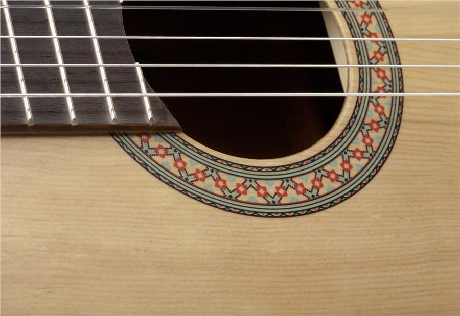 Guitar Yamaha C40M